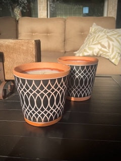 Curated Terracotta Pot